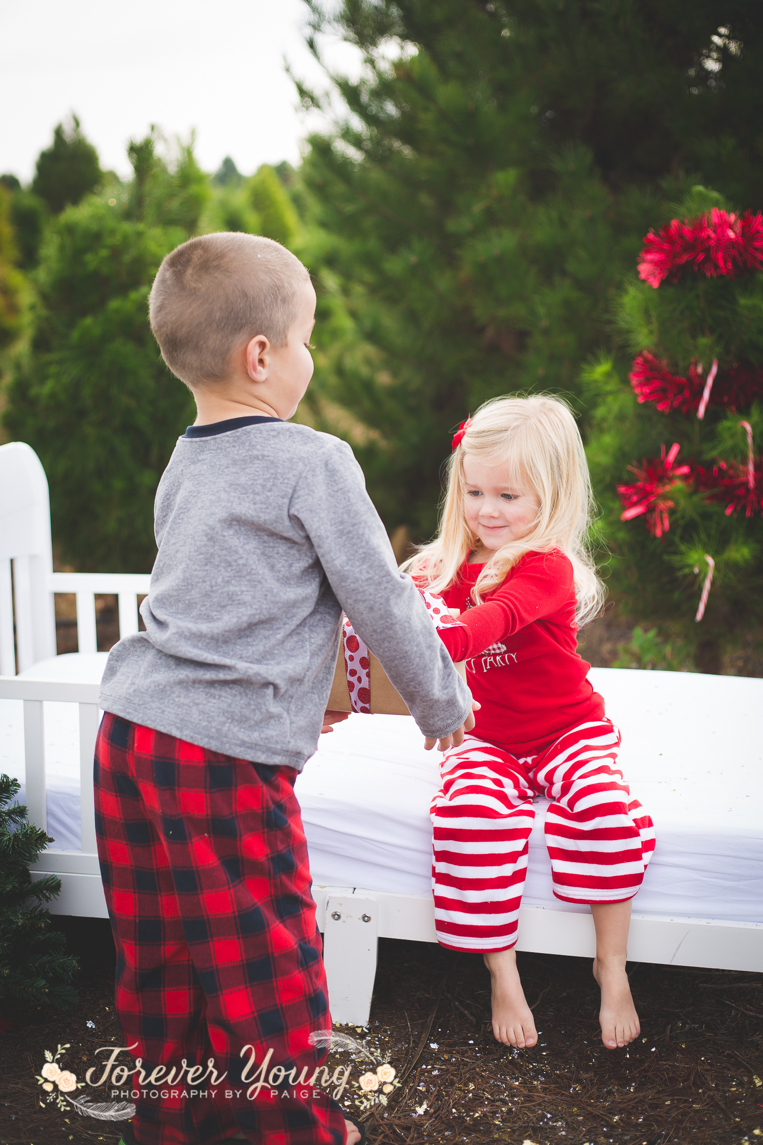 San Diego Christmas Tree Farm Photoshoot | Forever Young Photography By Paige-100