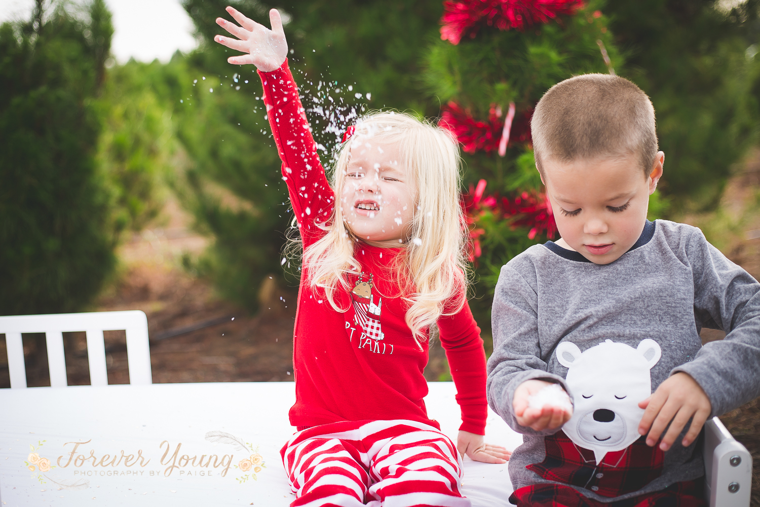 San Diego Christmas Tree Farm Photoshoot | Forever Young Photography By Paige-105