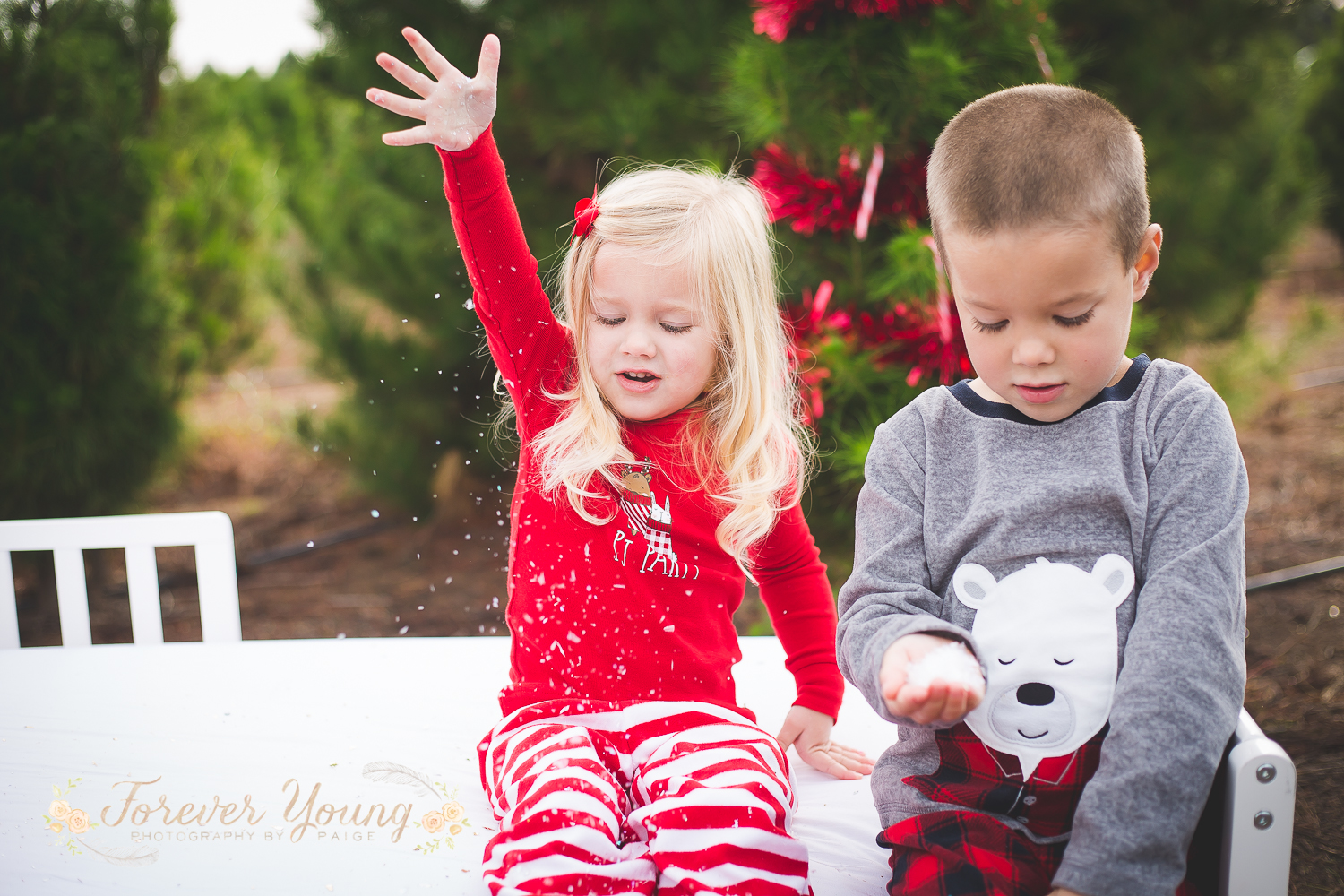 San Diego Christmas Tree Farm Photoshoot | Forever Young Photography By Paige-106
