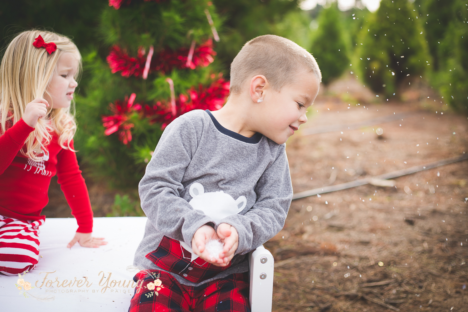 San Diego Christmas Tree Farm Photoshoot | Forever Young Photography By Paige-107
