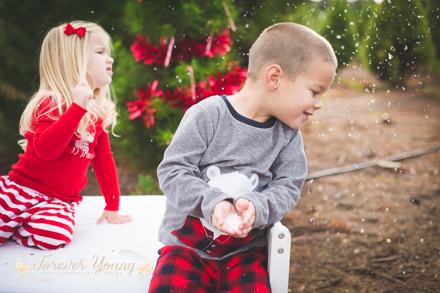 San Diego Christmas Tree Farm Photoshoot | Forever Young Photography By Paige-108