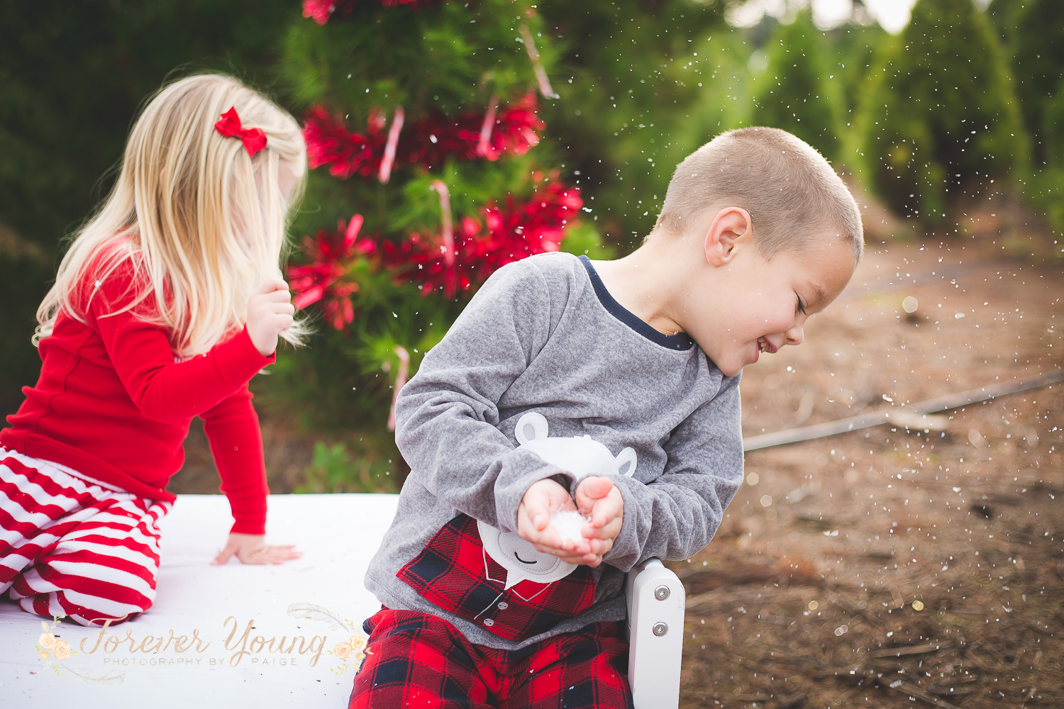 San Diego Christmas Tree Farm Photoshoot | Forever Young Photography By Paige-109