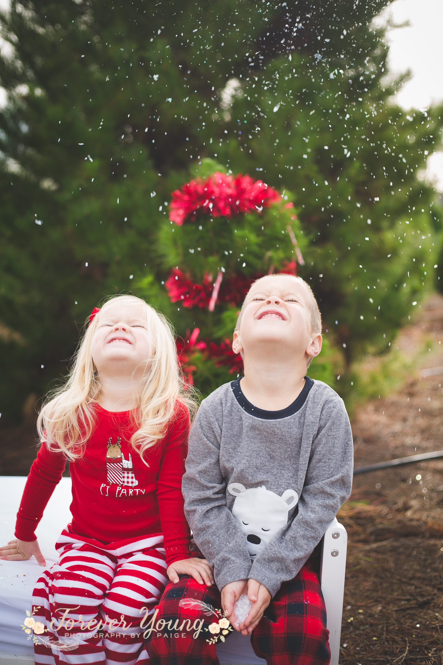 San Diego Christmas Tree Farm Photoshoot | Forever Young Photography By Paige-110