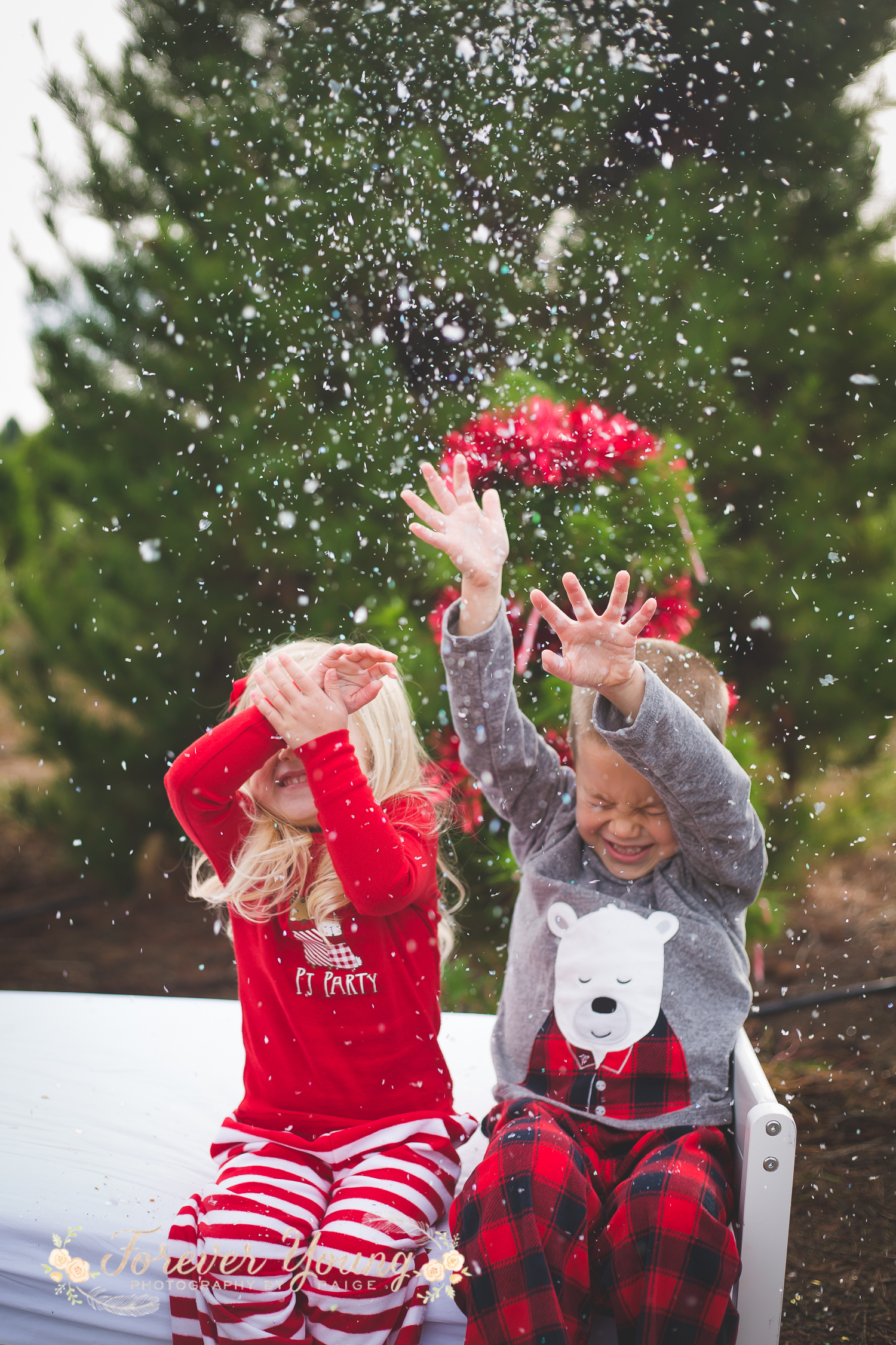 San Diego Christmas Tree Farm Photoshoot | Forever Young Photography By Paige-112