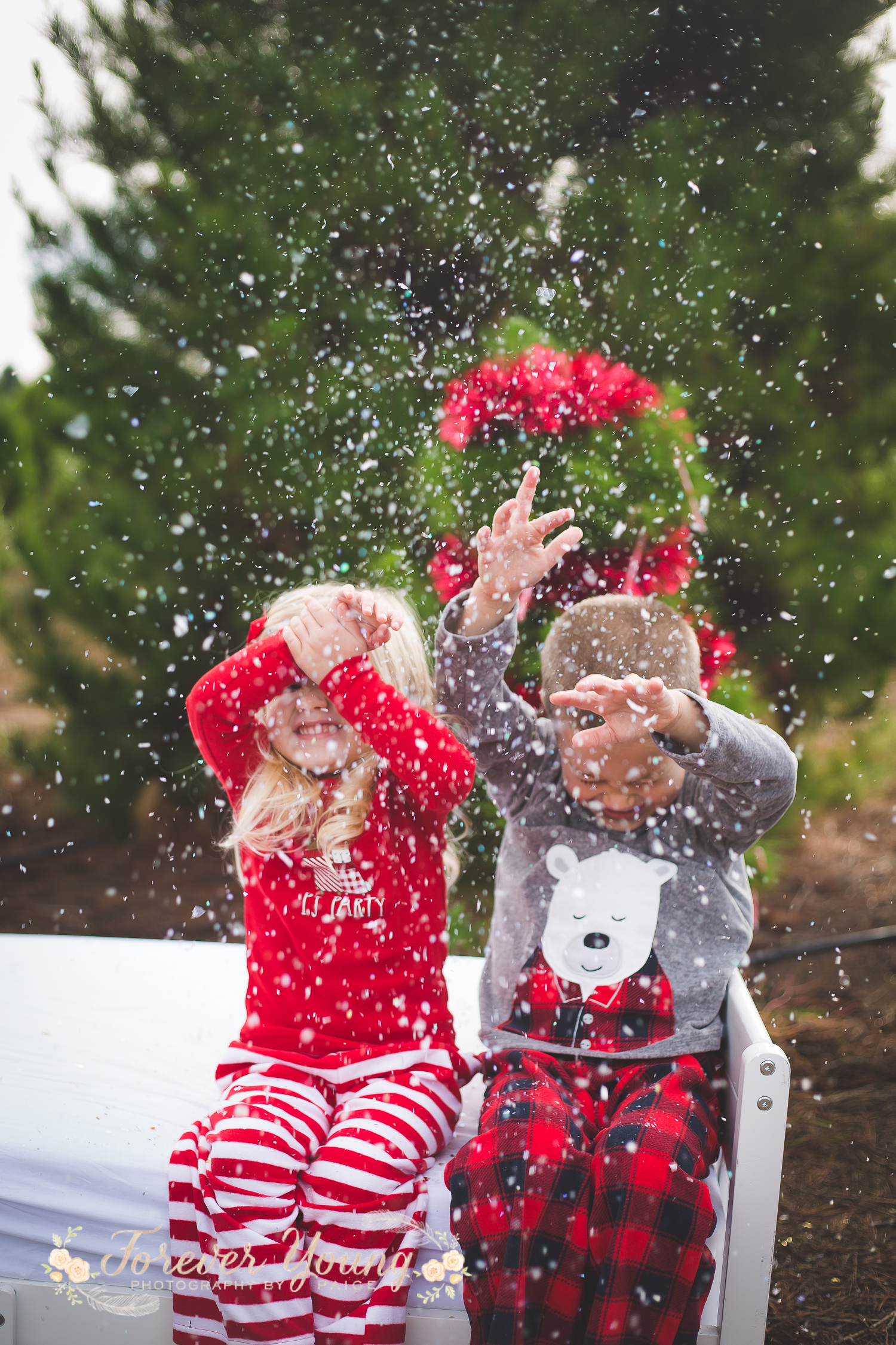 San Diego Christmas Tree Farm Photoshoot | Forever Young Photography By Paige-113