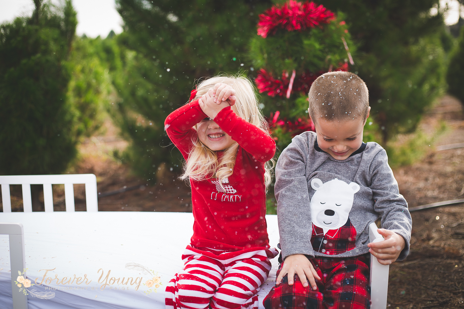 San Diego Christmas Tree Farm Photoshoot | Forever Young Photography By Paige-114