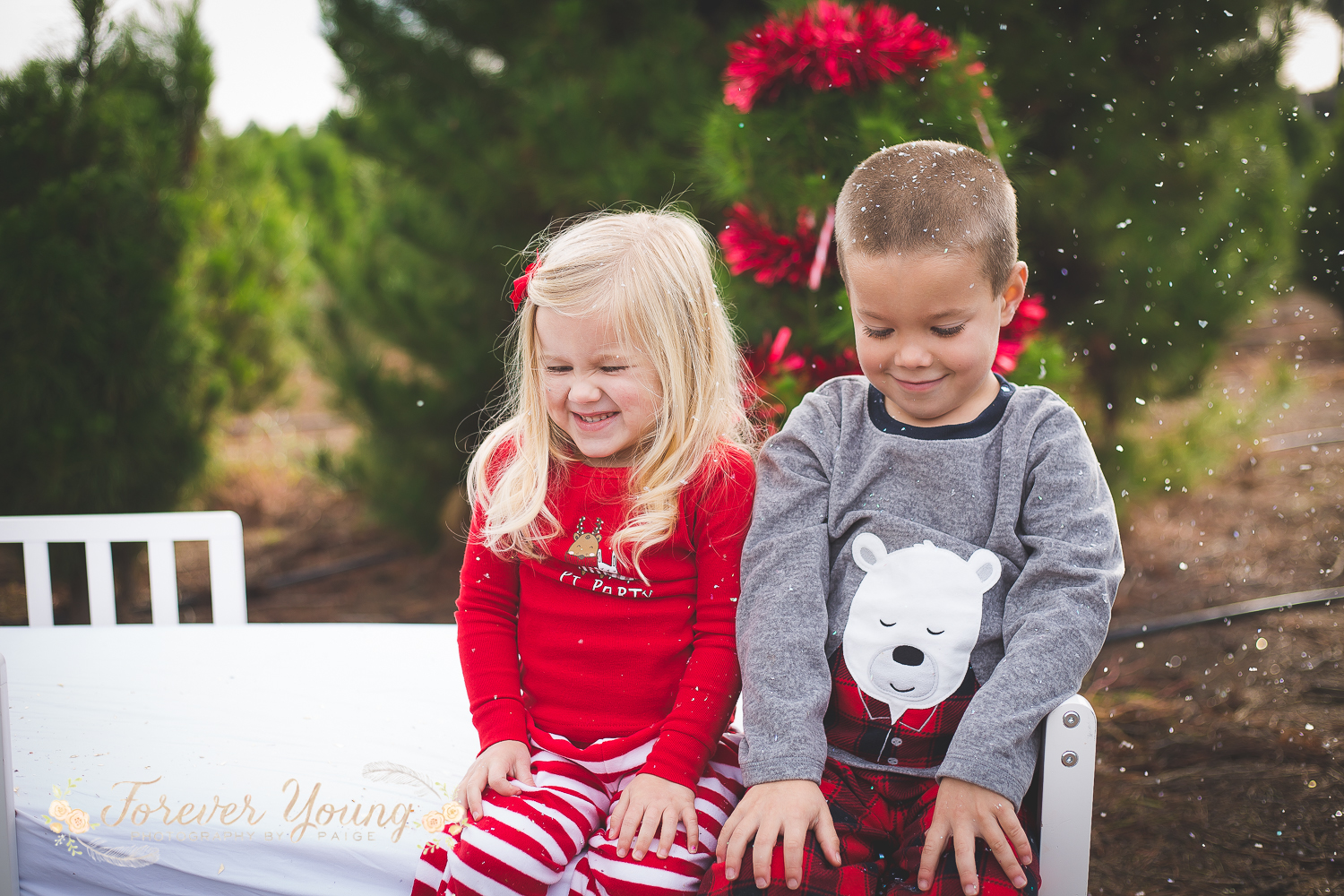 San Diego Christmas Tree Farm Photoshoot | Forever Young Photography By Paige-115