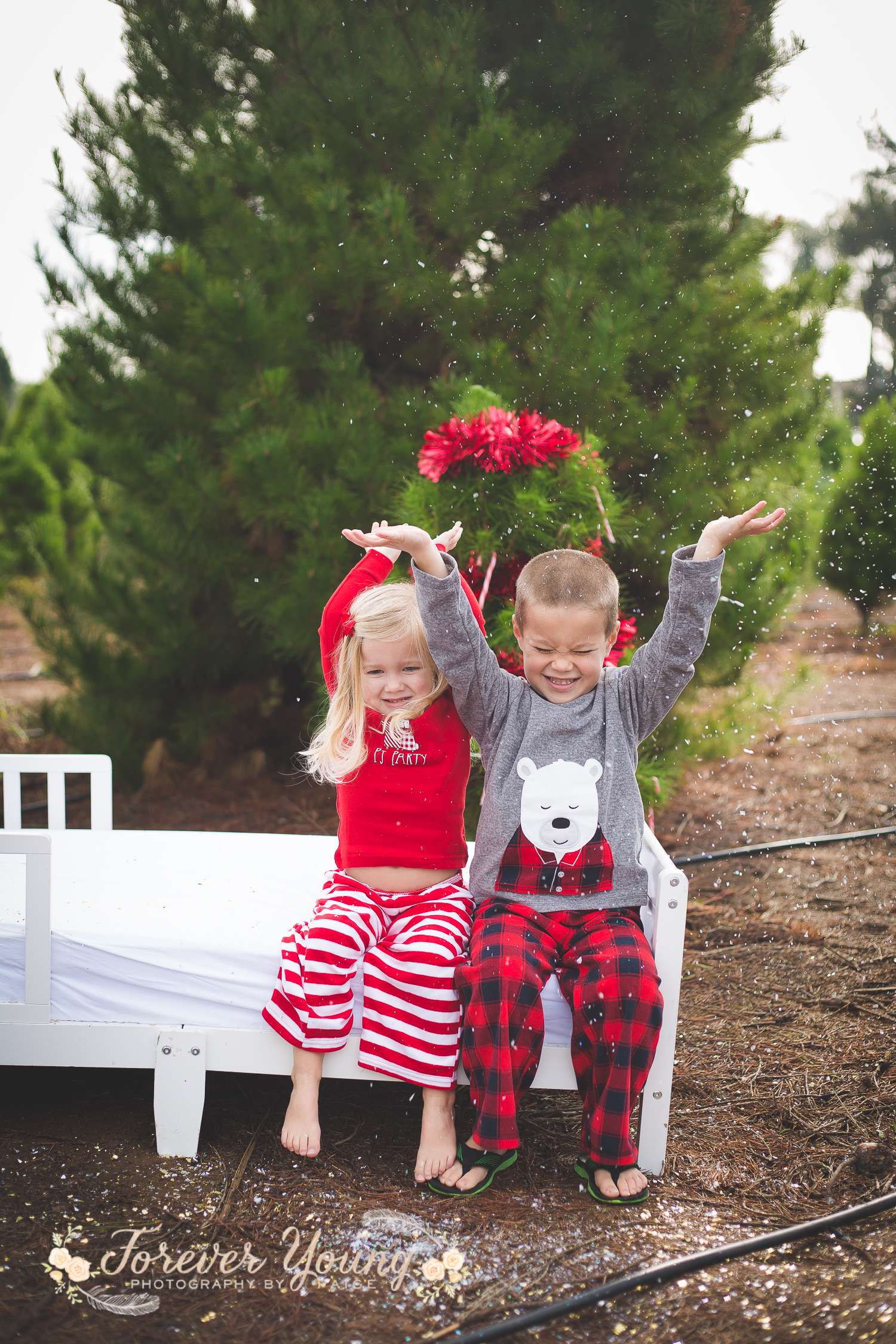 San Diego Christmas Tree Farm Photoshoot | Forever Young Photography By Paige-116