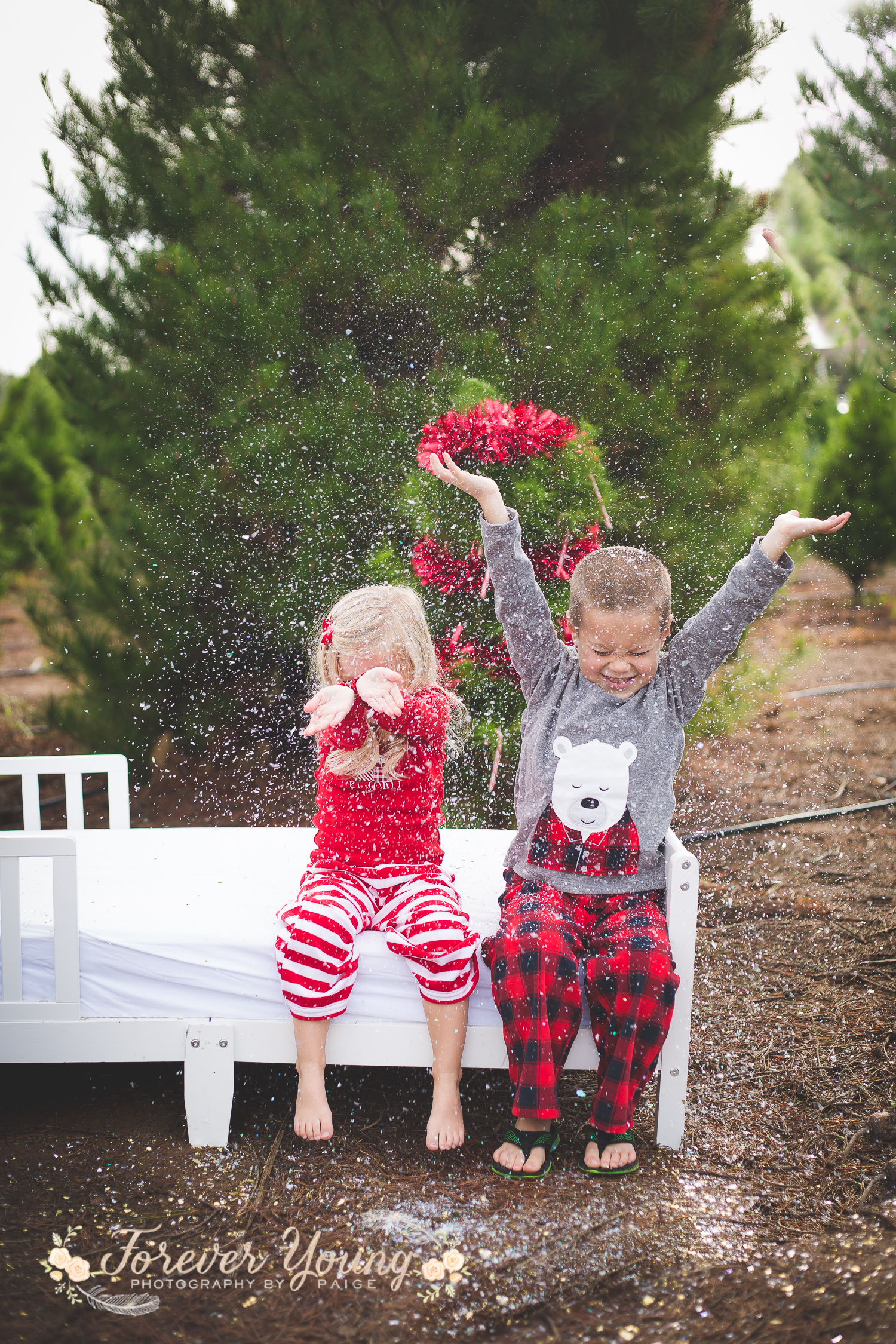 San Diego Christmas Tree Farm Photoshoot | Forever Young Photography By Paige-119
