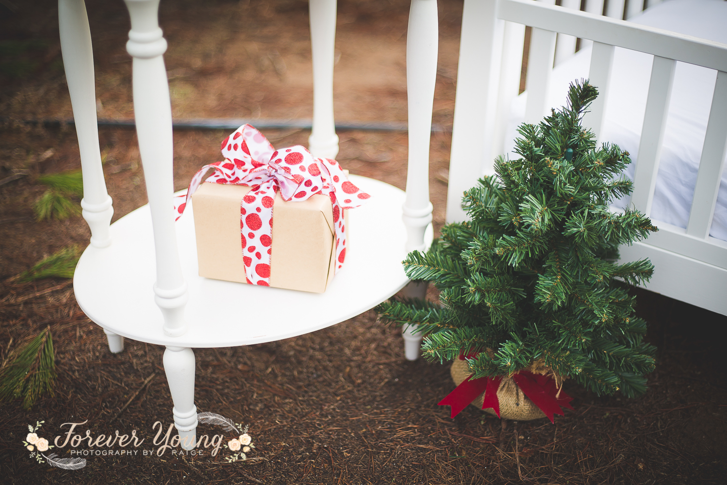 San Diego Christmas Tree Farm Photoshoot | Forever Young Photography By Paige-12