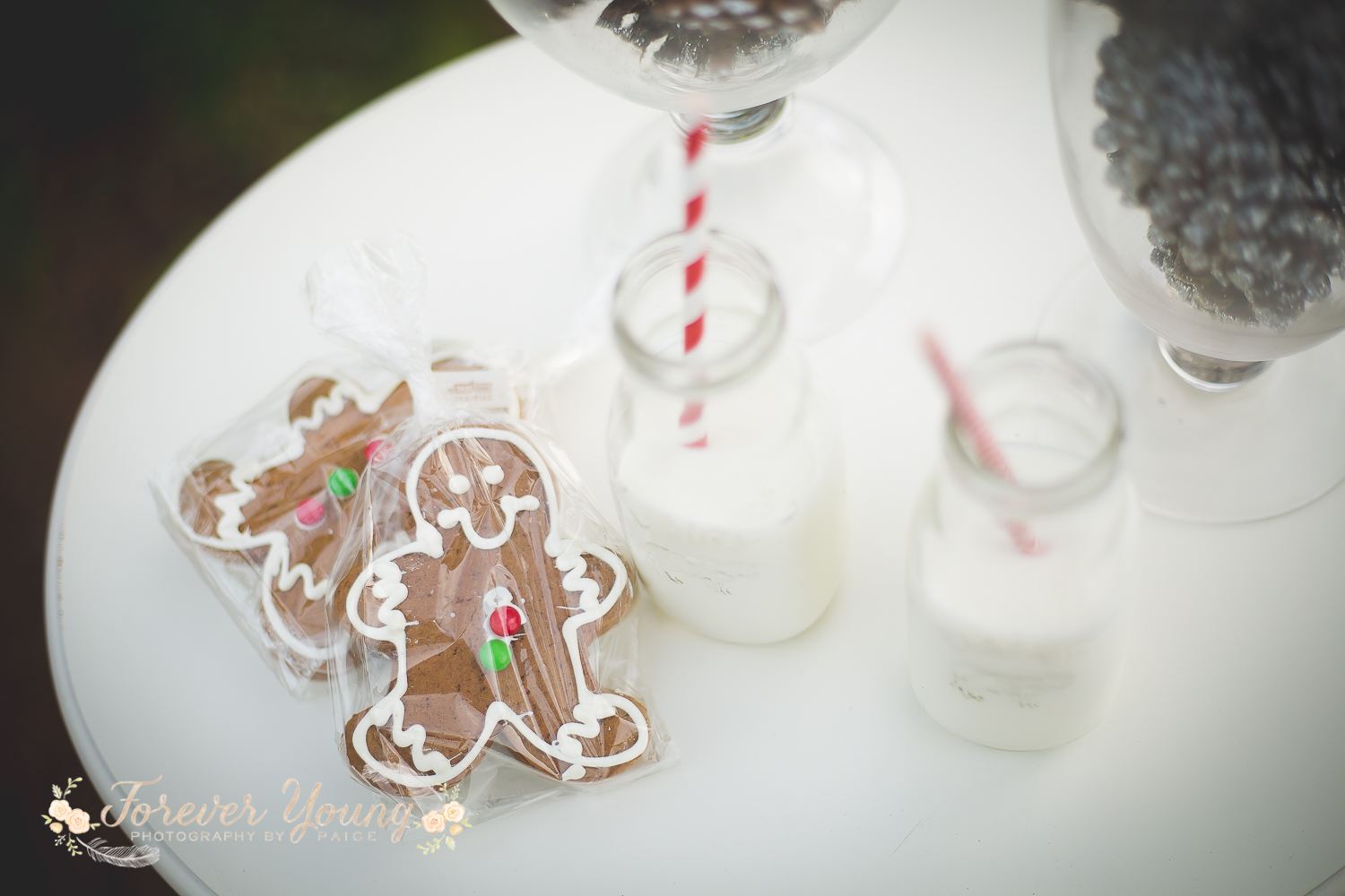 San Diego Christmas Tree Farm Photoshoot | Forever Young Photography By Paige-18