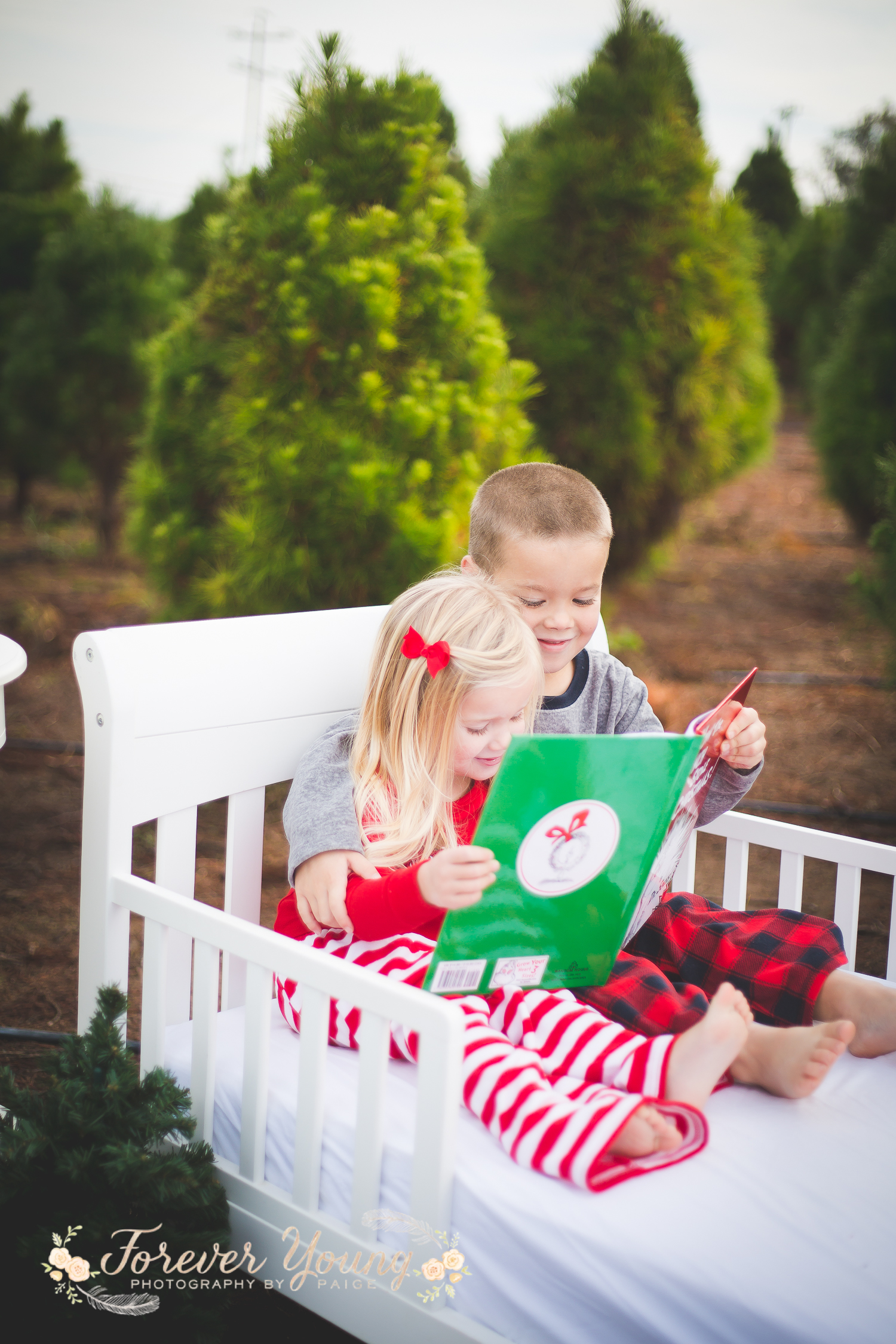 San Diego Christmas Tree Farm Photoshoot | Forever Young Photography By Paige-25