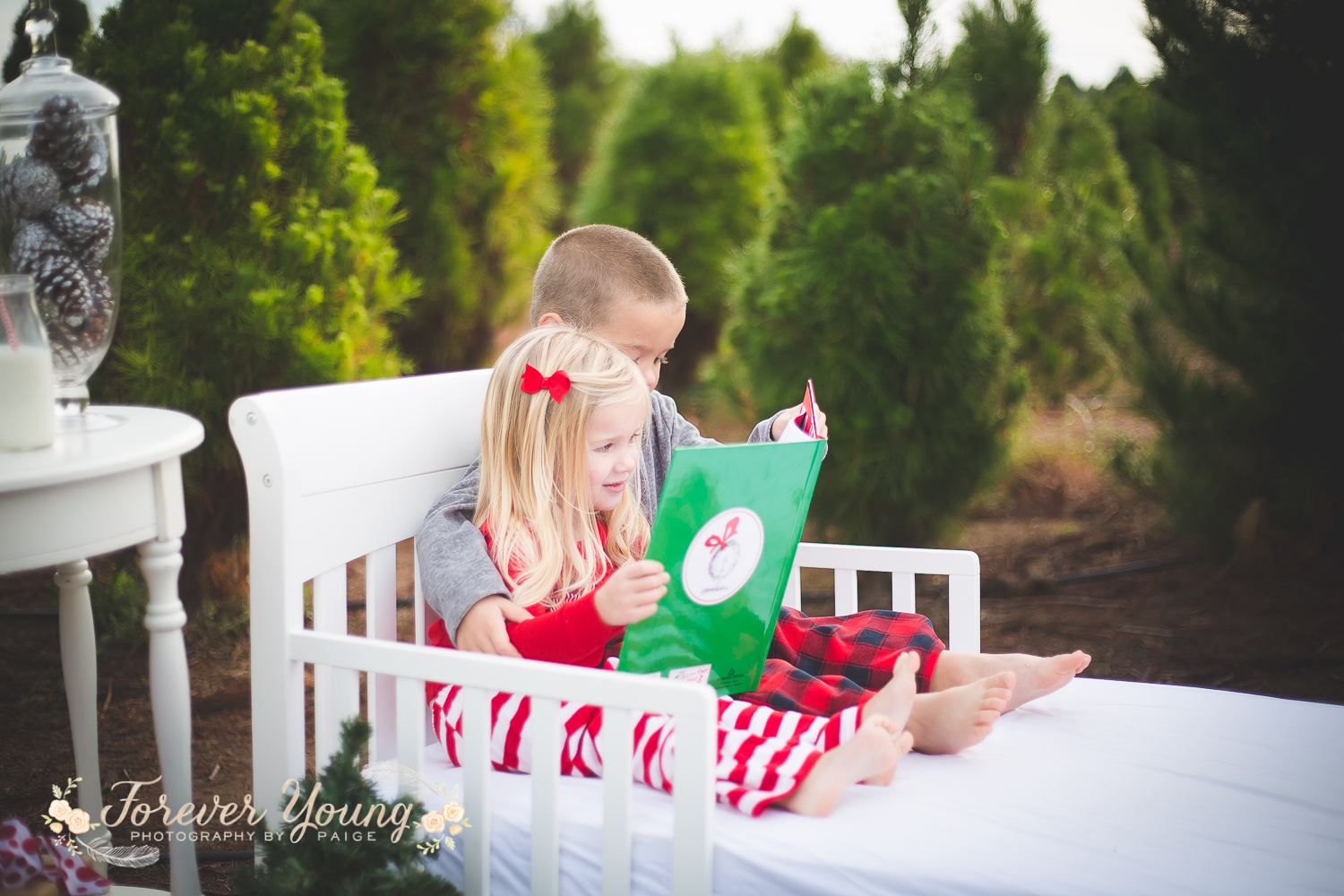 San Diego Christmas Tree Farm Photoshoot | Forever Young Photography By Paige-26