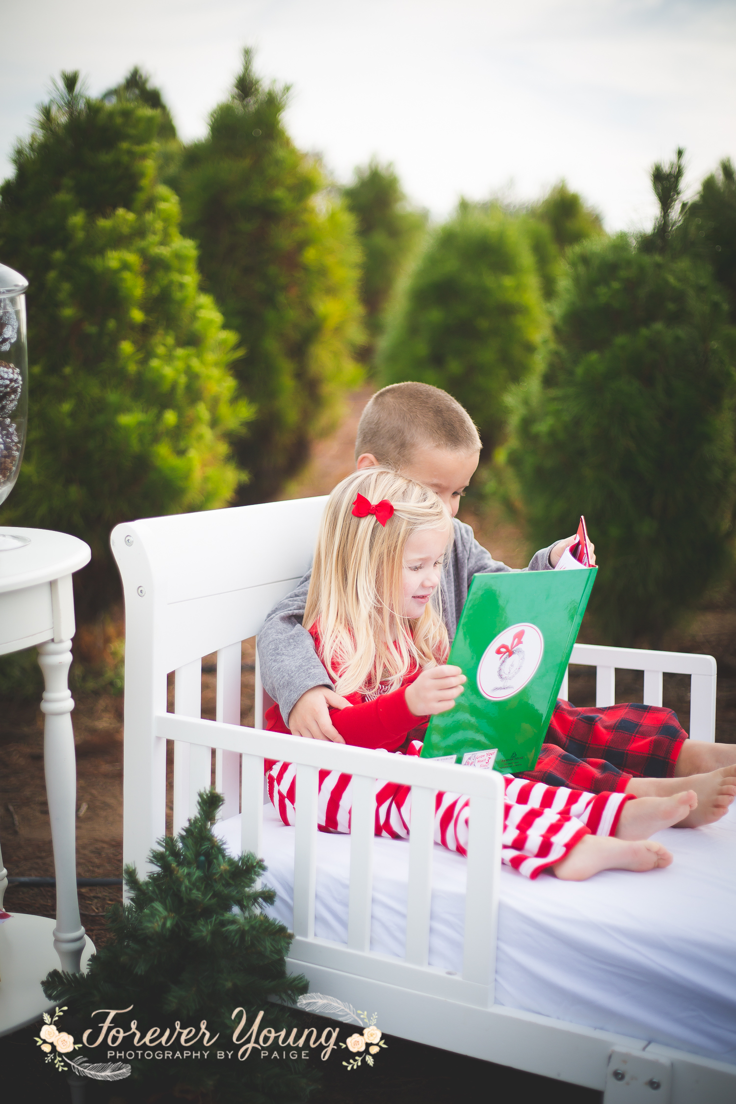 San Diego Christmas Tree Farm Photoshoot | Forever Young Photography By Paige-27