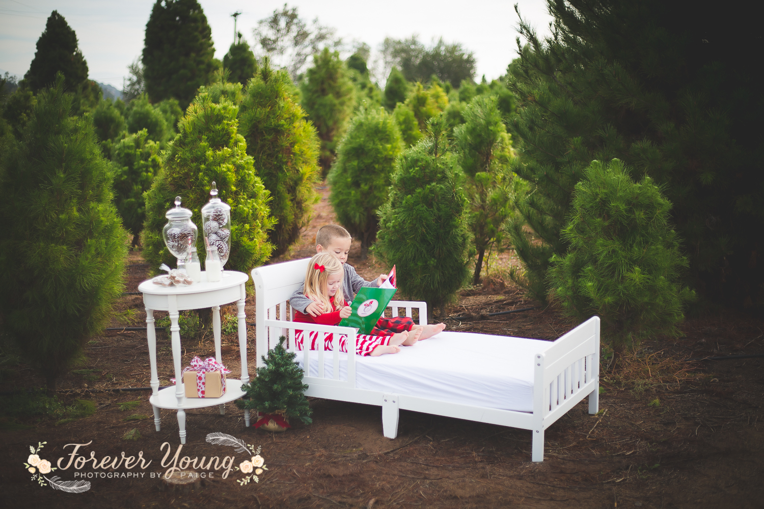 San Diego Christmas Tree Farm Photoshoot | Forever Young Photography By Paige-28