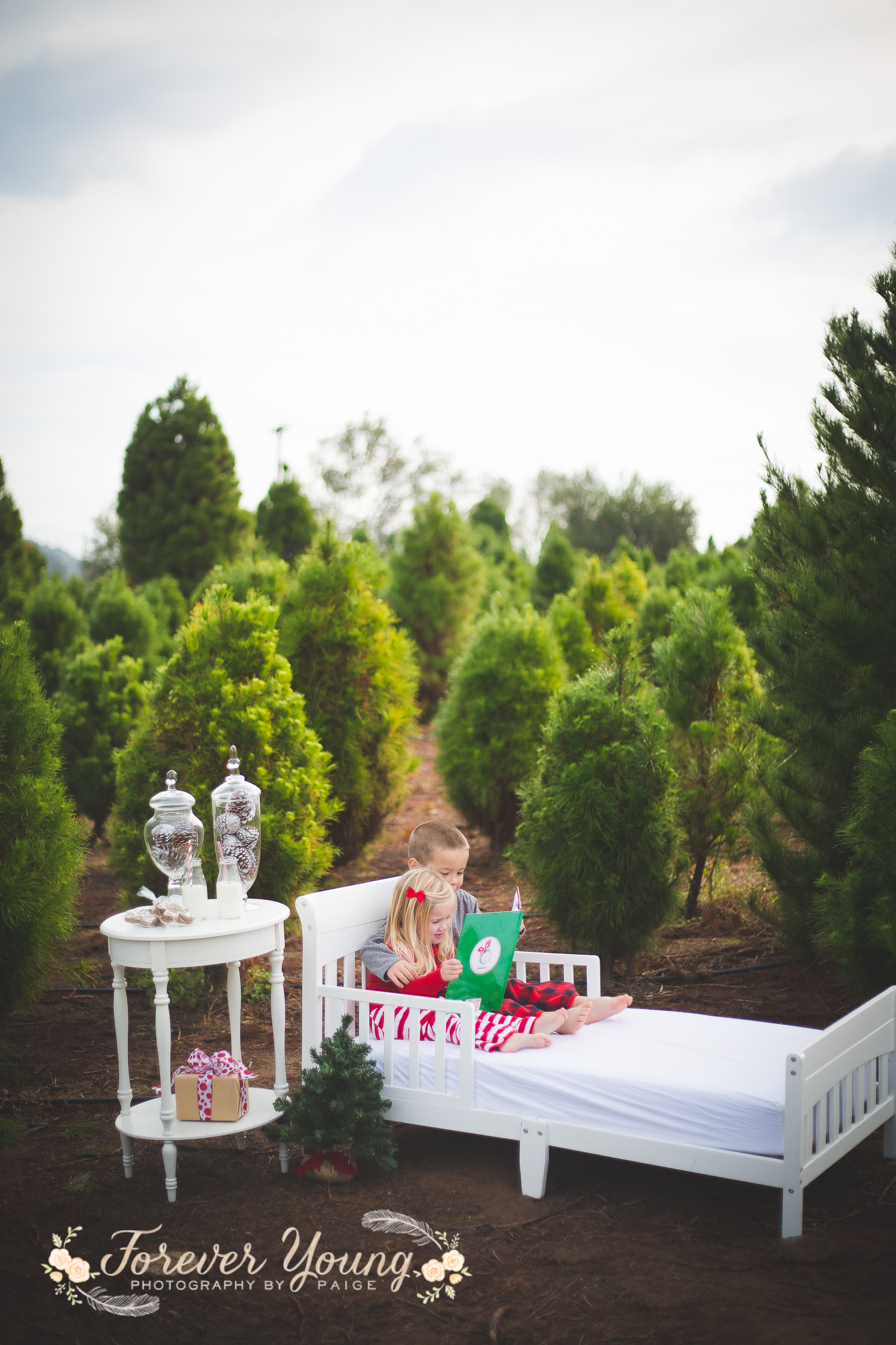 San Diego Christmas Tree Farm Photoshoot | Forever Young Photography By Paige-29