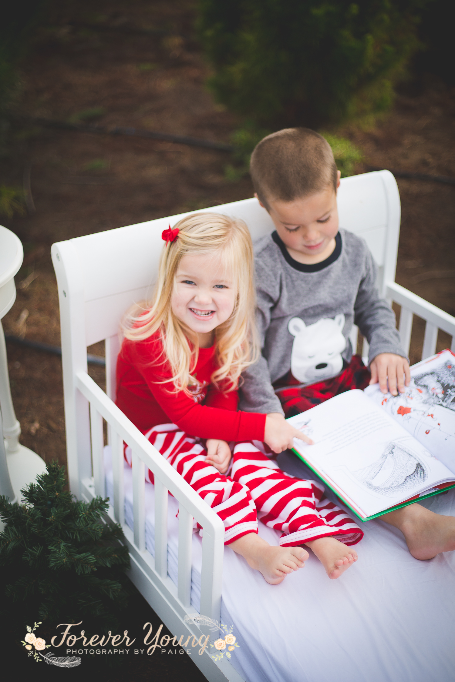 San Diego Christmas Tree Farm Photoshoot | Forever Young Photography By Paige-38