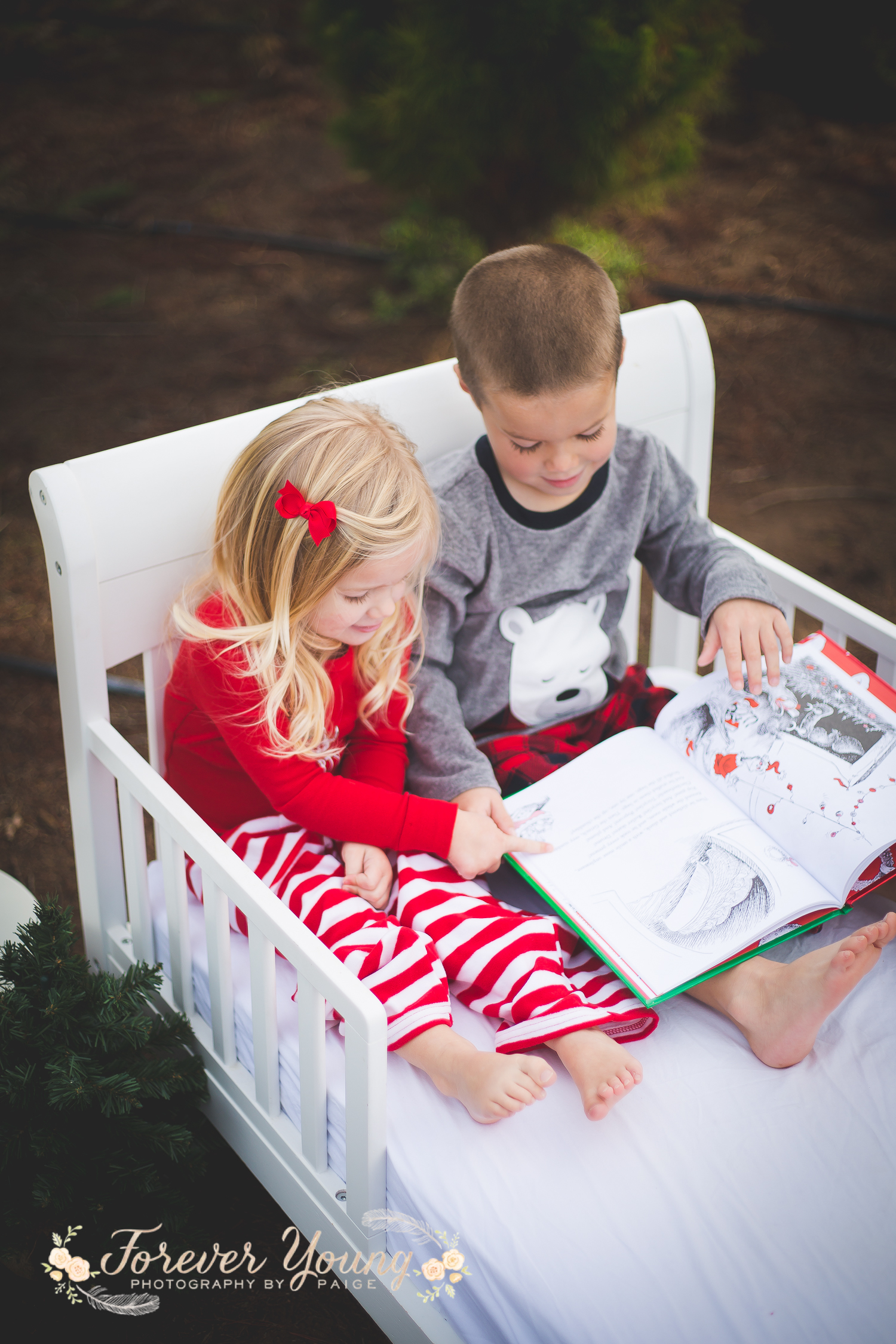 San Diego Christmas Tree Farm Photoshoot | Forever Young Photography By Paige-39