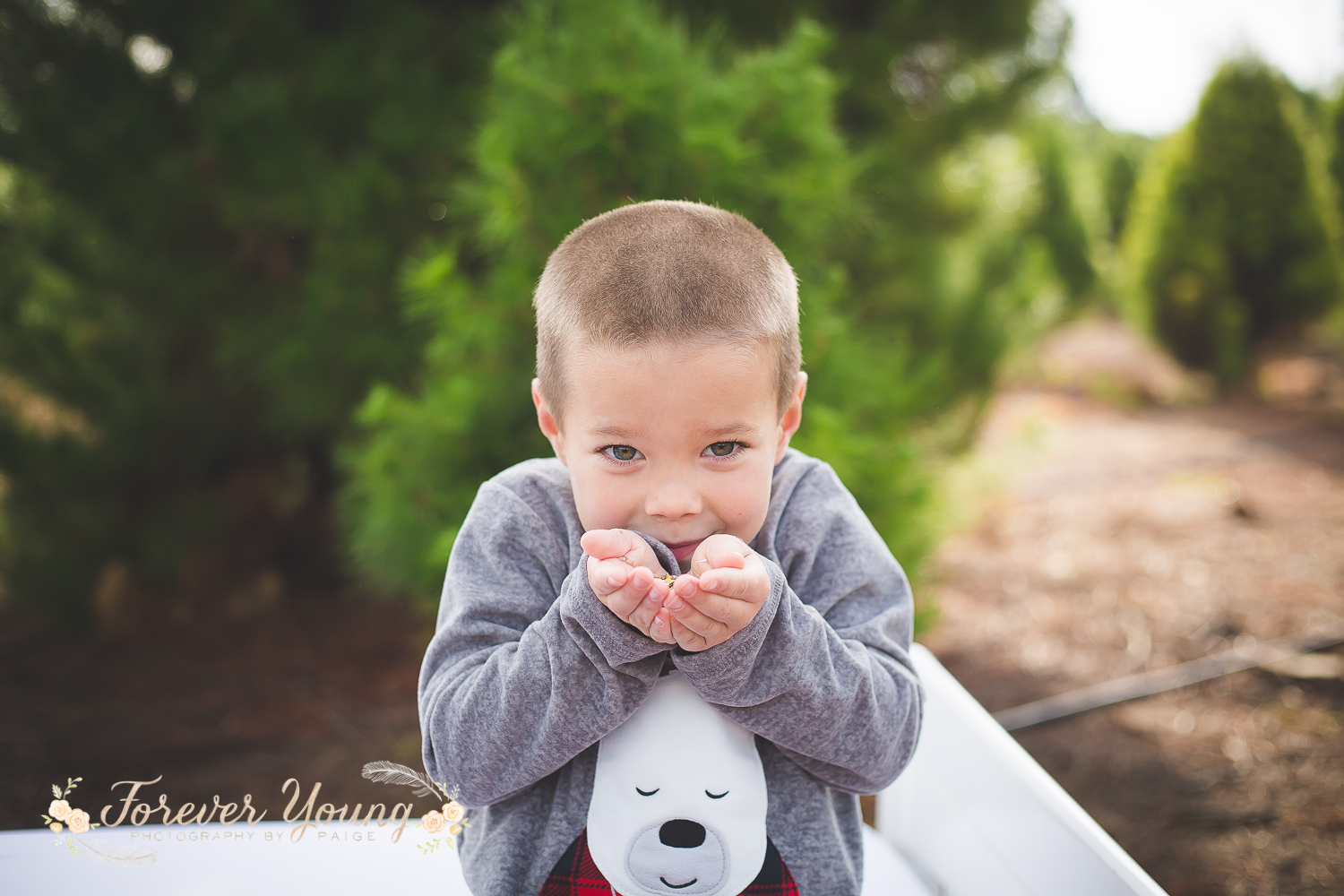 San Diego Christmas Tree Farm Photoshoot | Forever Young Photography By Paige-43