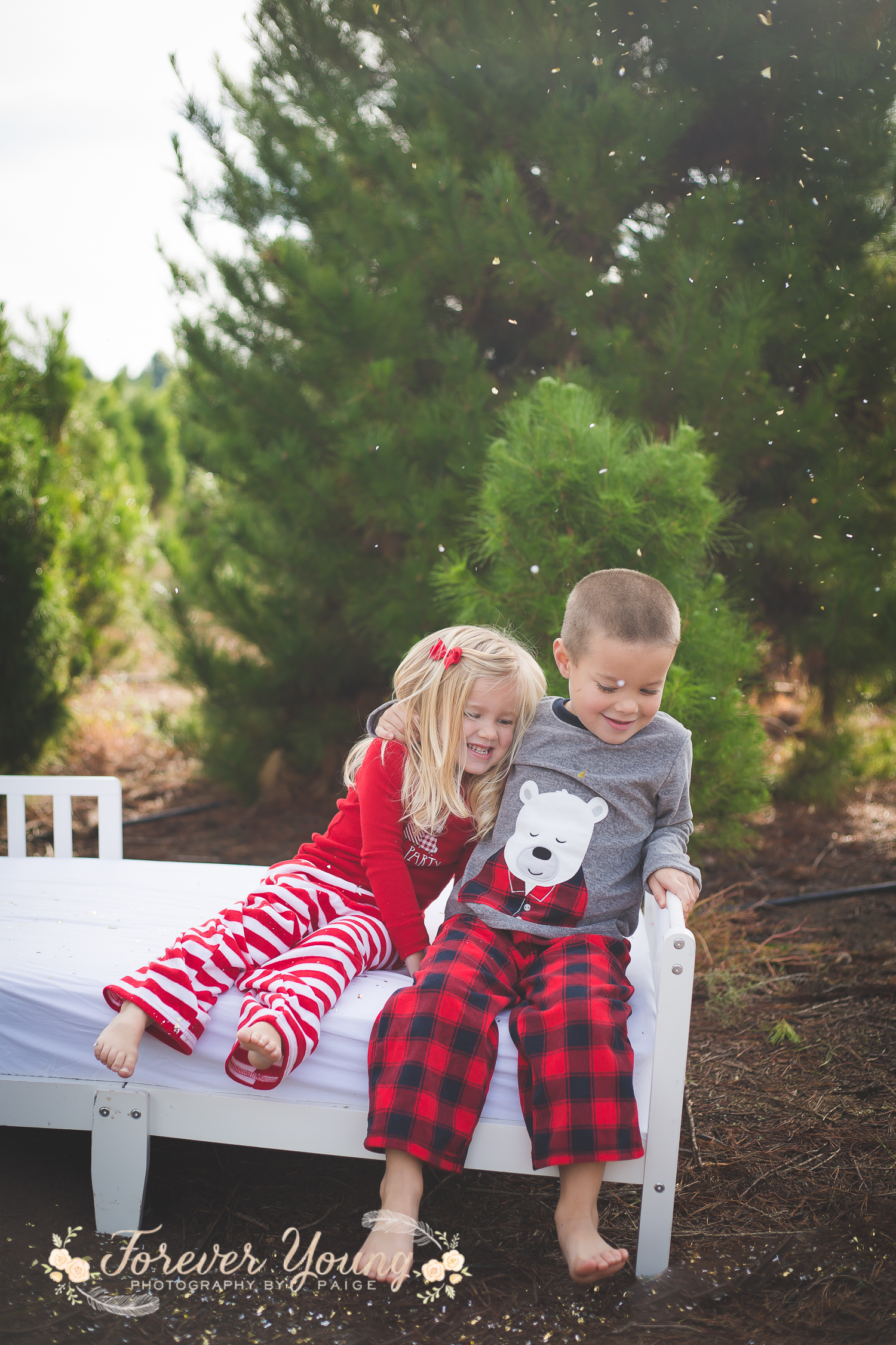 San Diego Christmas Tree Farm Photoshoot | Forever Young Photography By Paige-48