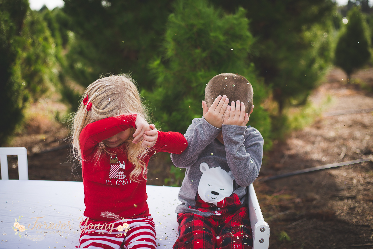 San Diego Christmas Tree Farm Photoshoot | Forever Young Photography By Paige-52