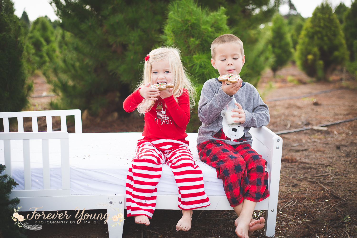 San Diego Christmas Tree Farm Photoshoot | Forever Young Photography By Paige-64