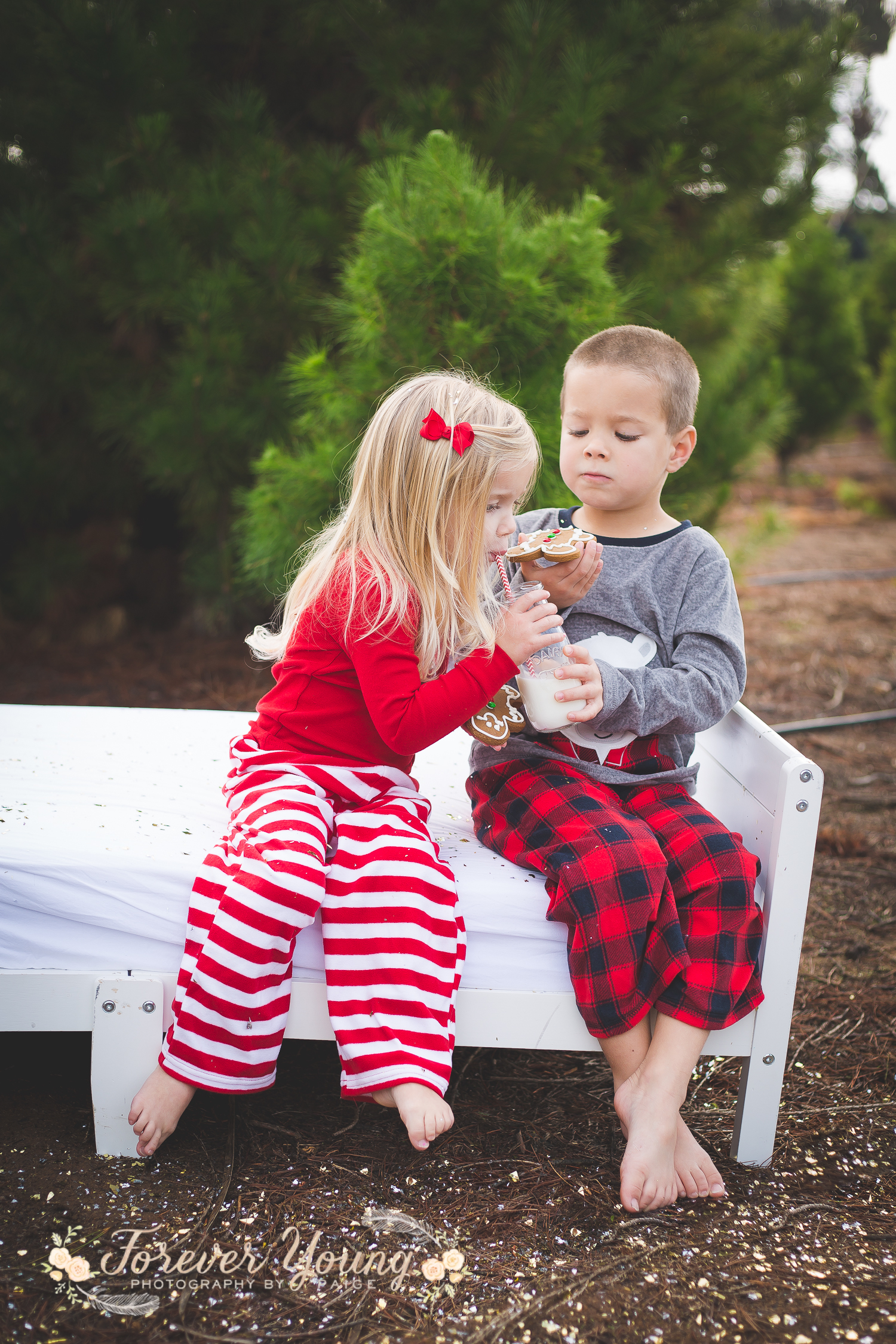 San Diego Christmas Tree Farm Photoshoot | Forever Young Photography By Paige-65