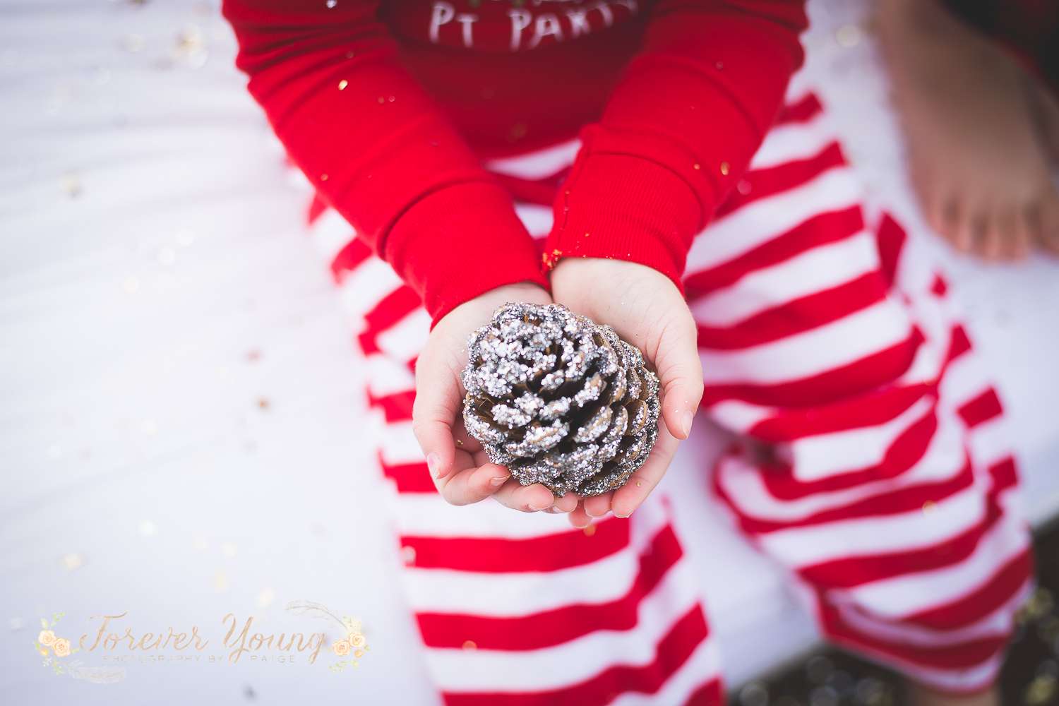 San Diego Christmas Tree Farm Photoshoot | Forever Young Photography By Paige-76