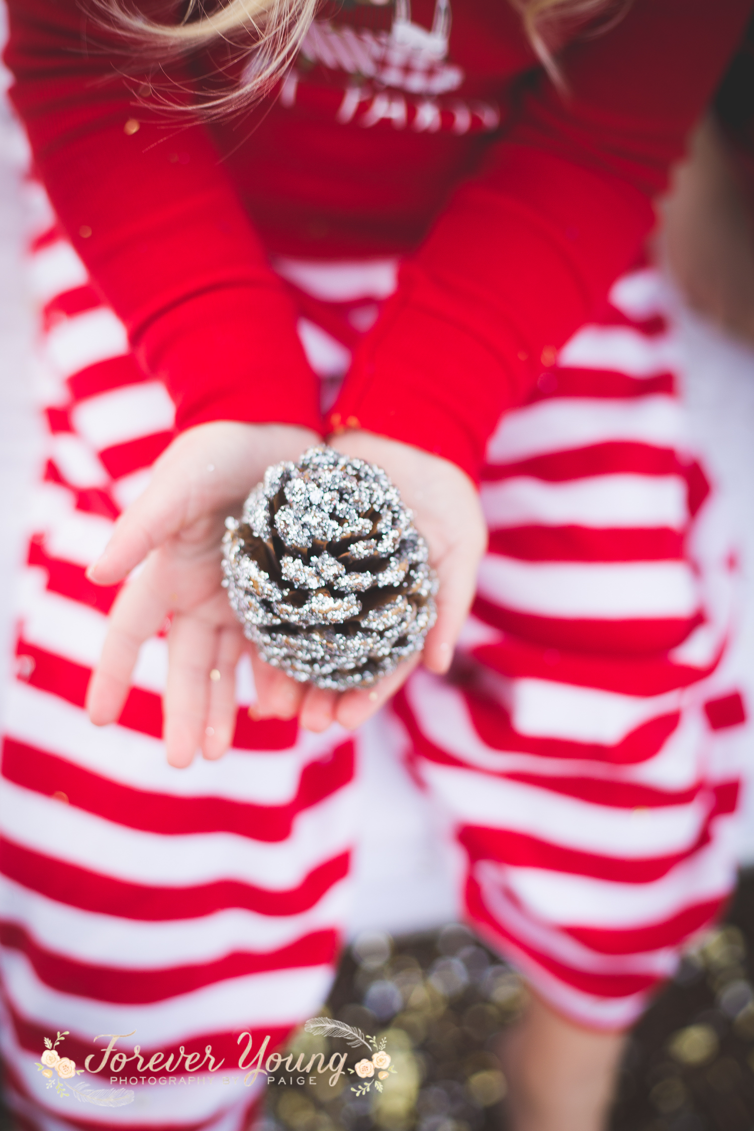 San Diego Christmas Tree Farm Photoshoot | Forever Young Photography By Paige-77