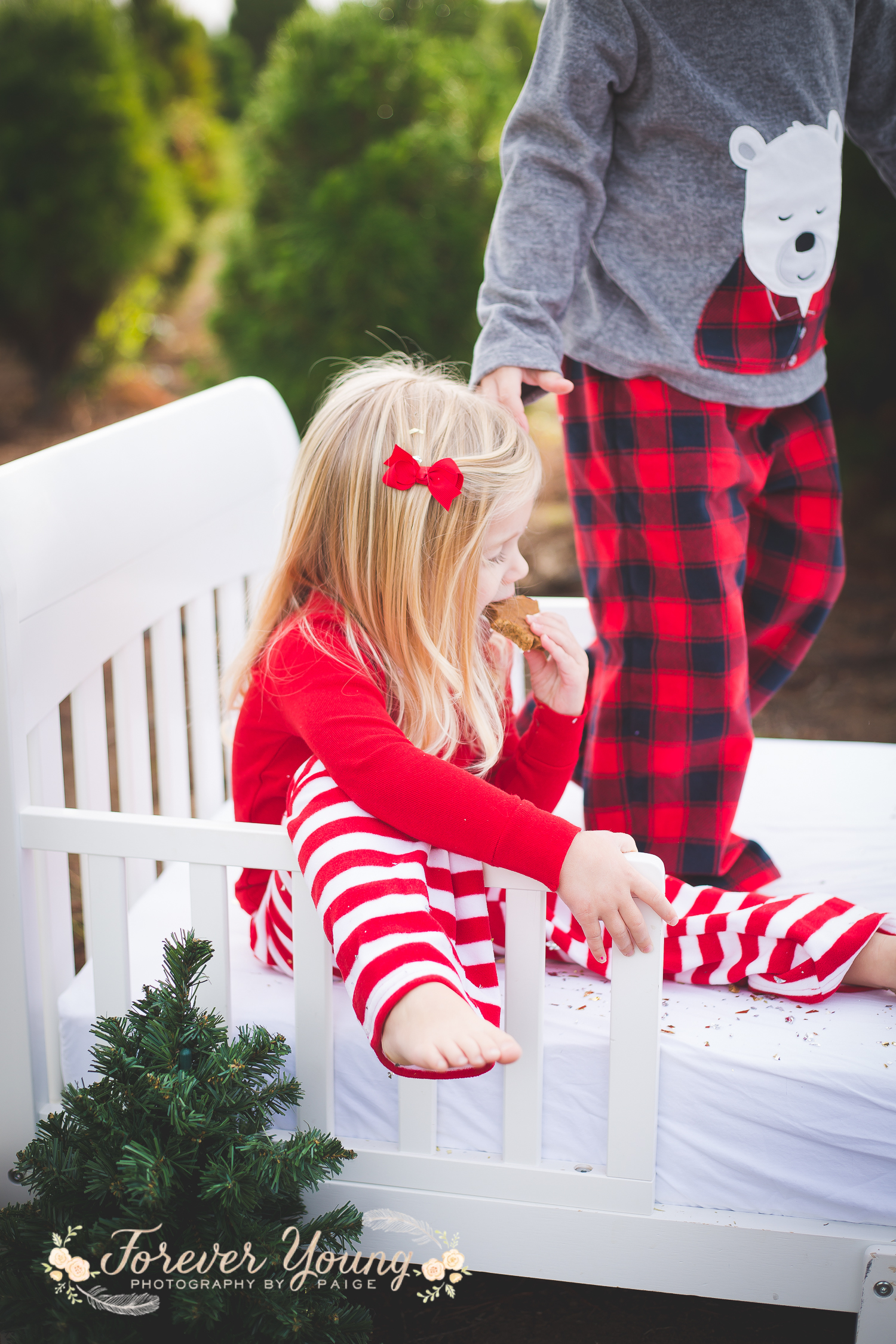 San Diego Christmas Tree Farm Photoshoot | Forever Young Photography By Paige-78
