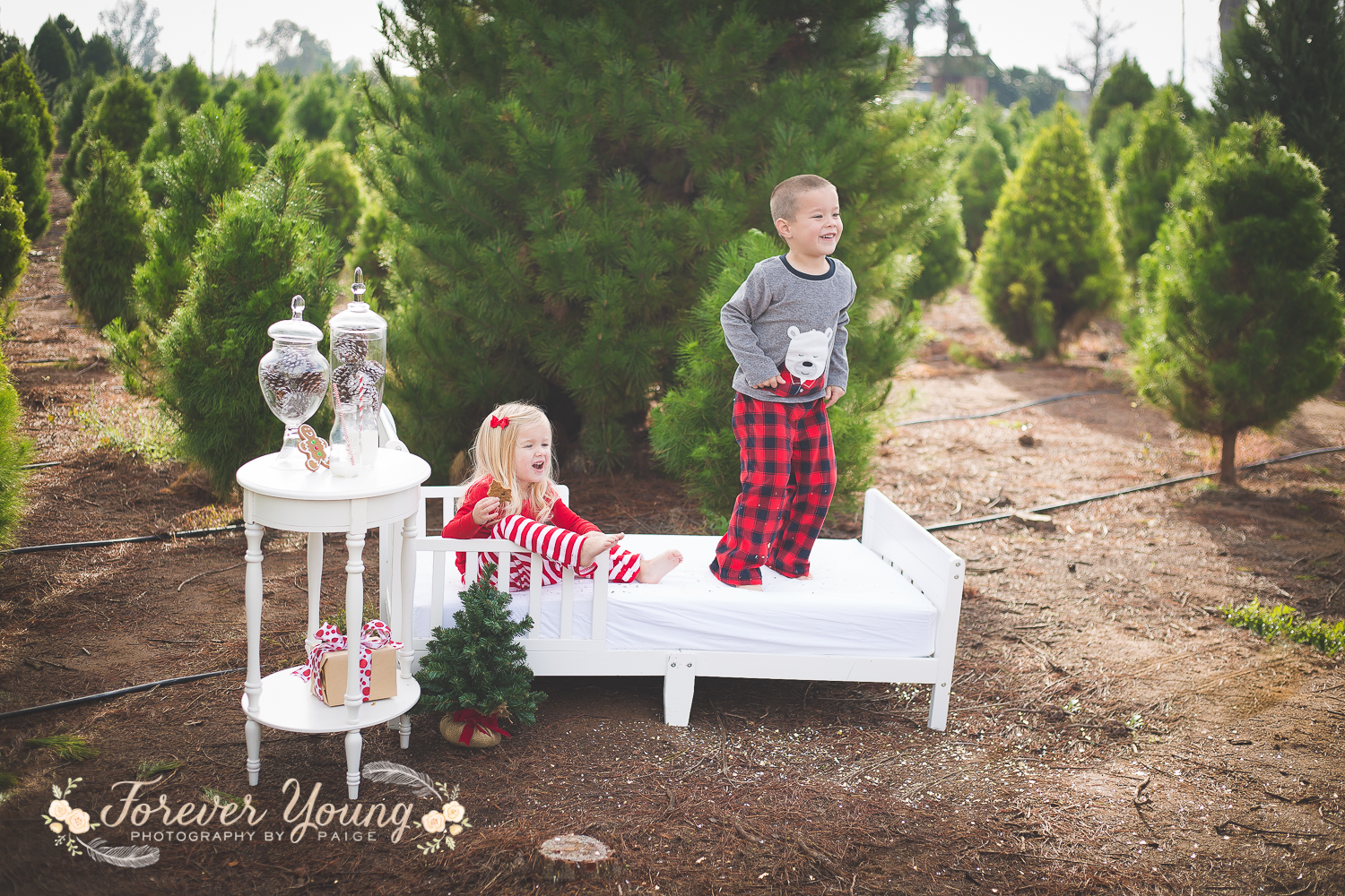 San Diego Christmas Tree Farm Photoshoot | Forever Young Photography By Paige-79