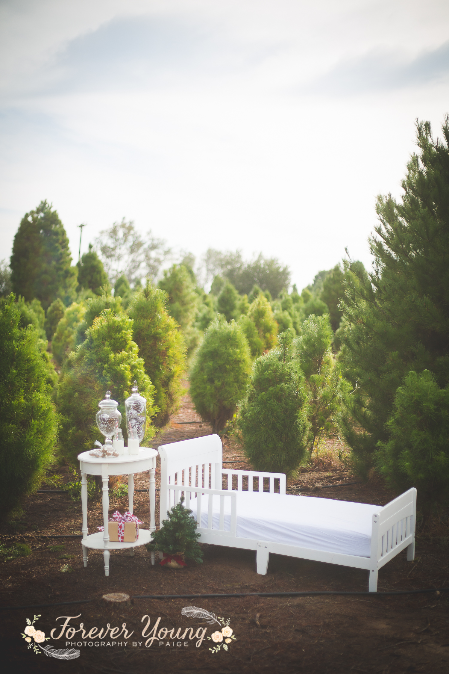 San Diego Christmas Tree Farm Photoshoot | Forever Young Photography By Paige-8