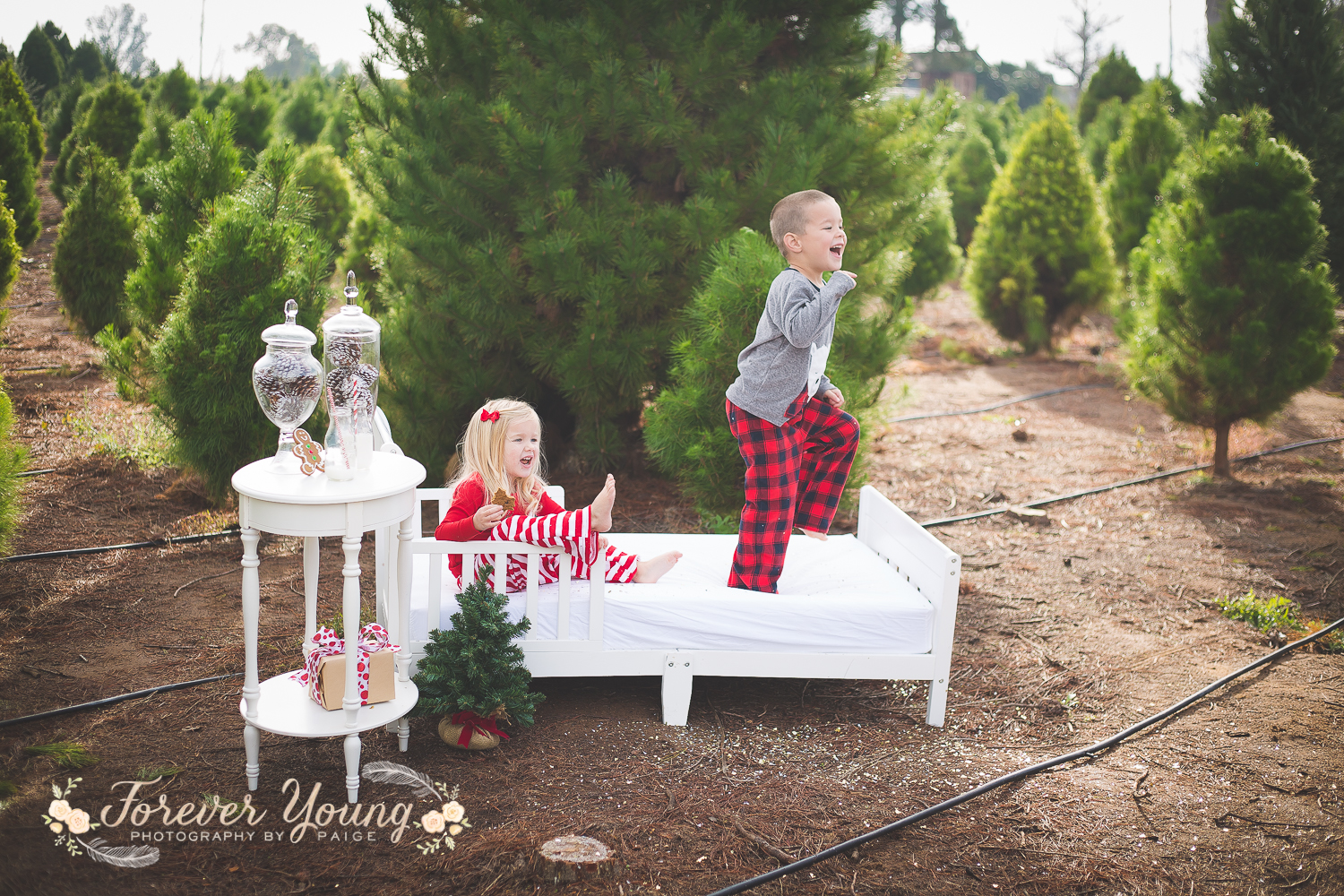 San Diego Christmas Tree Farm Photoshoot | Forever Young Photography By Paige-80