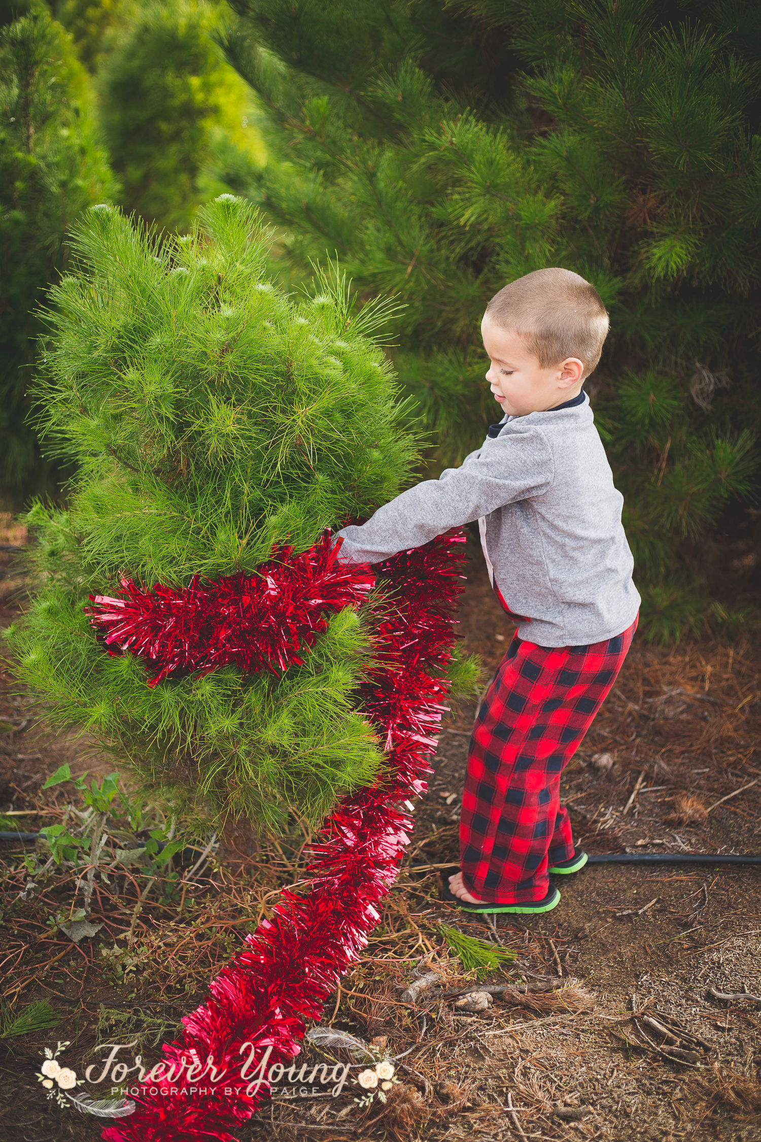 San Diego Christmas Tree Farm Photoshoot | Forever Young Photography By Paige-88
