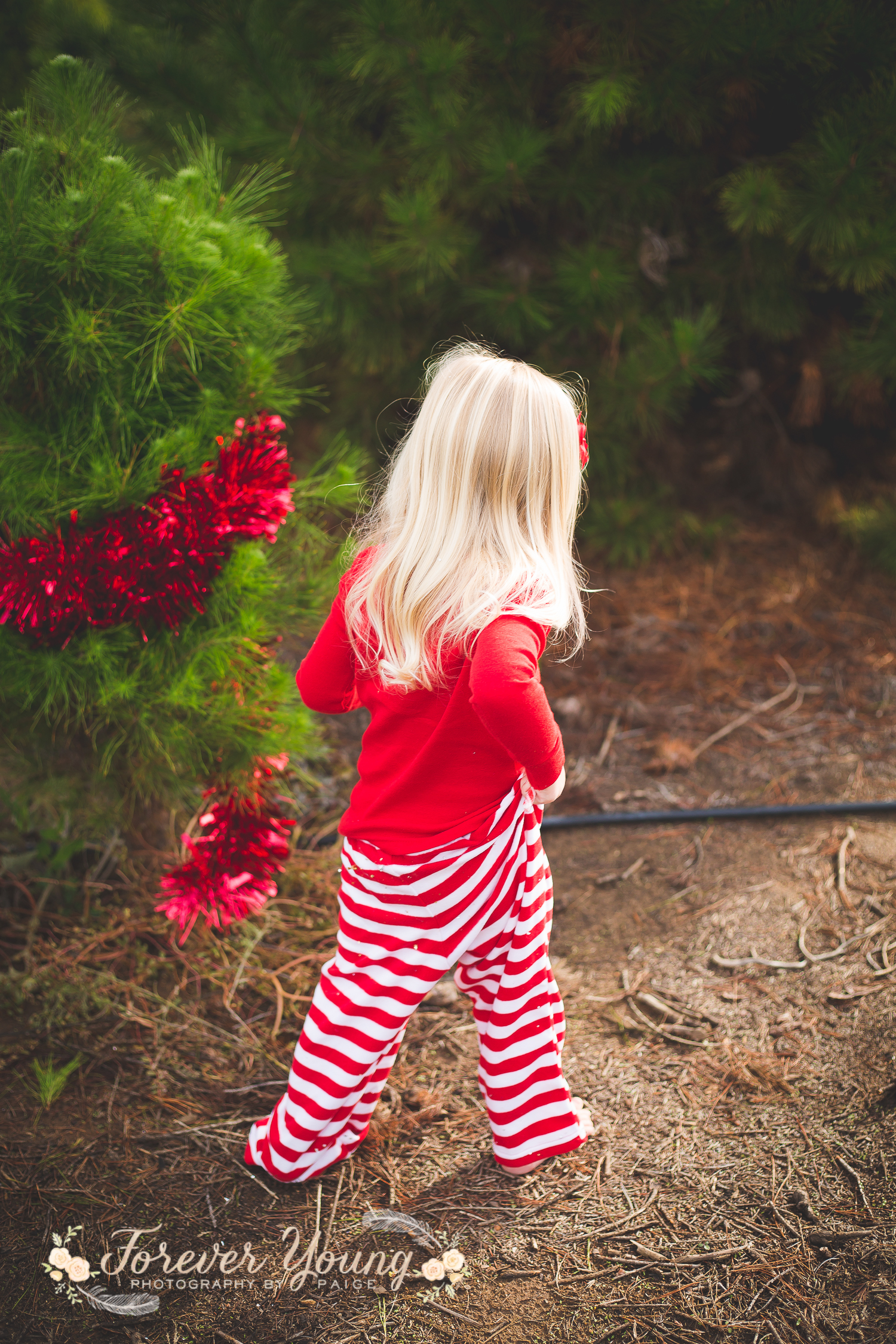 San Diego Christmas Tree Farm Photoshoot | Forever Young Photography By Paige-89