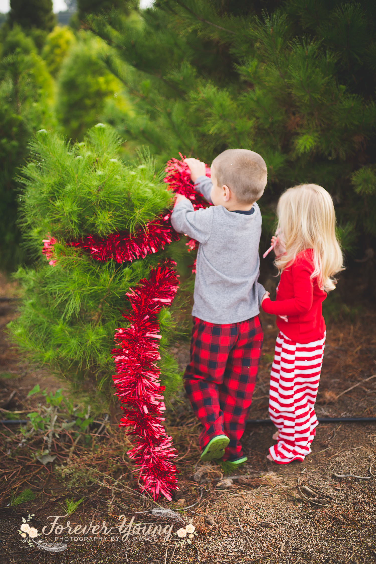 San Diego Christmas Tree Farm Photoshoot | Forever Young Photography By Paige-92