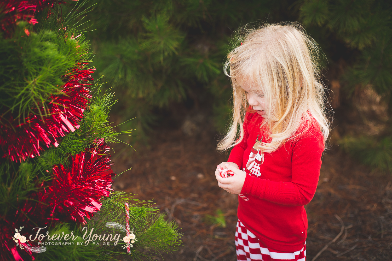 San Diego Christmas Tree Farm Photoshoot | Forever Young Photography By Paige-94