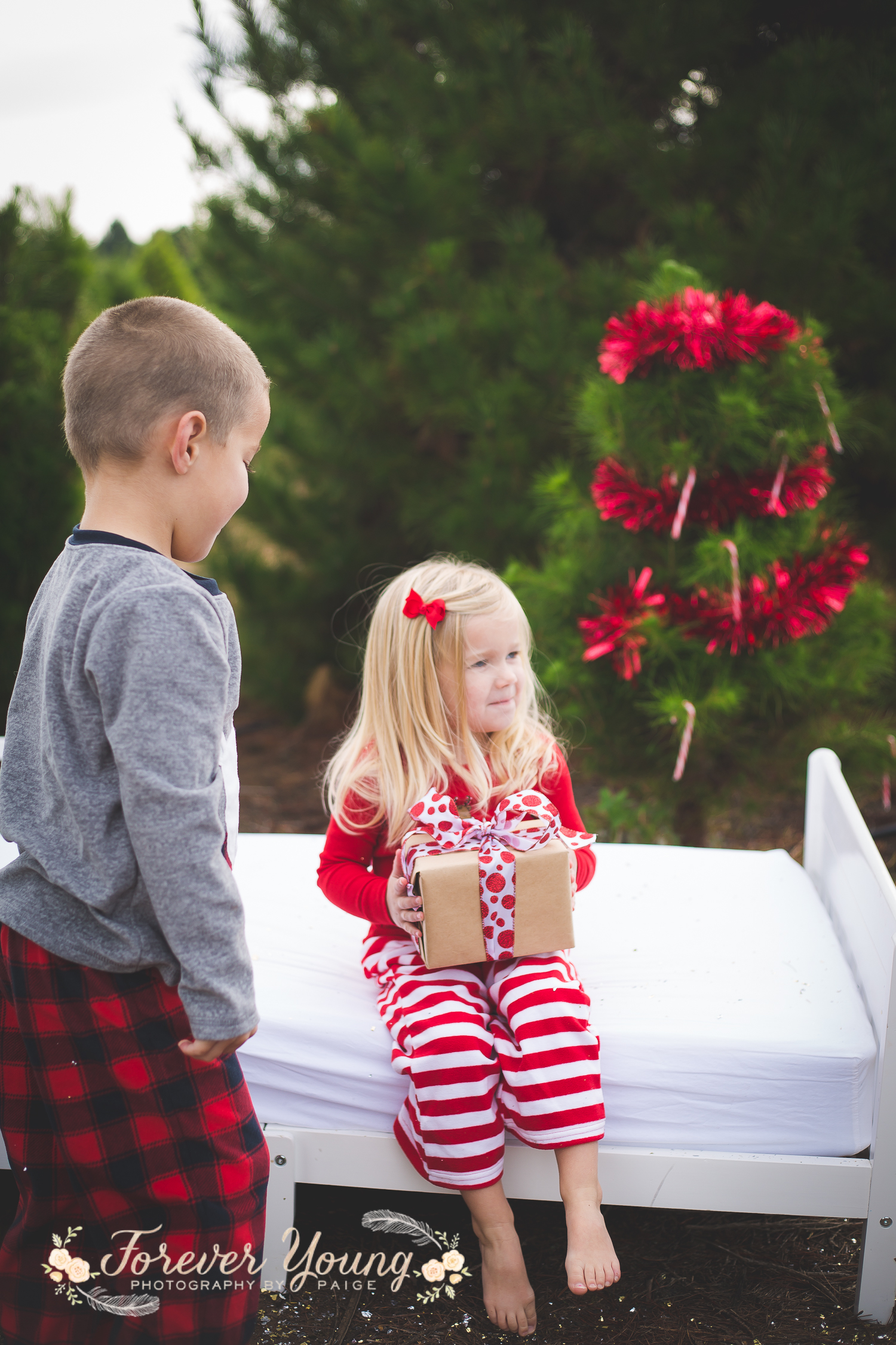 San Diego Christmas Tree Farm Photoshoot | Forever Young Photography By Paige-98