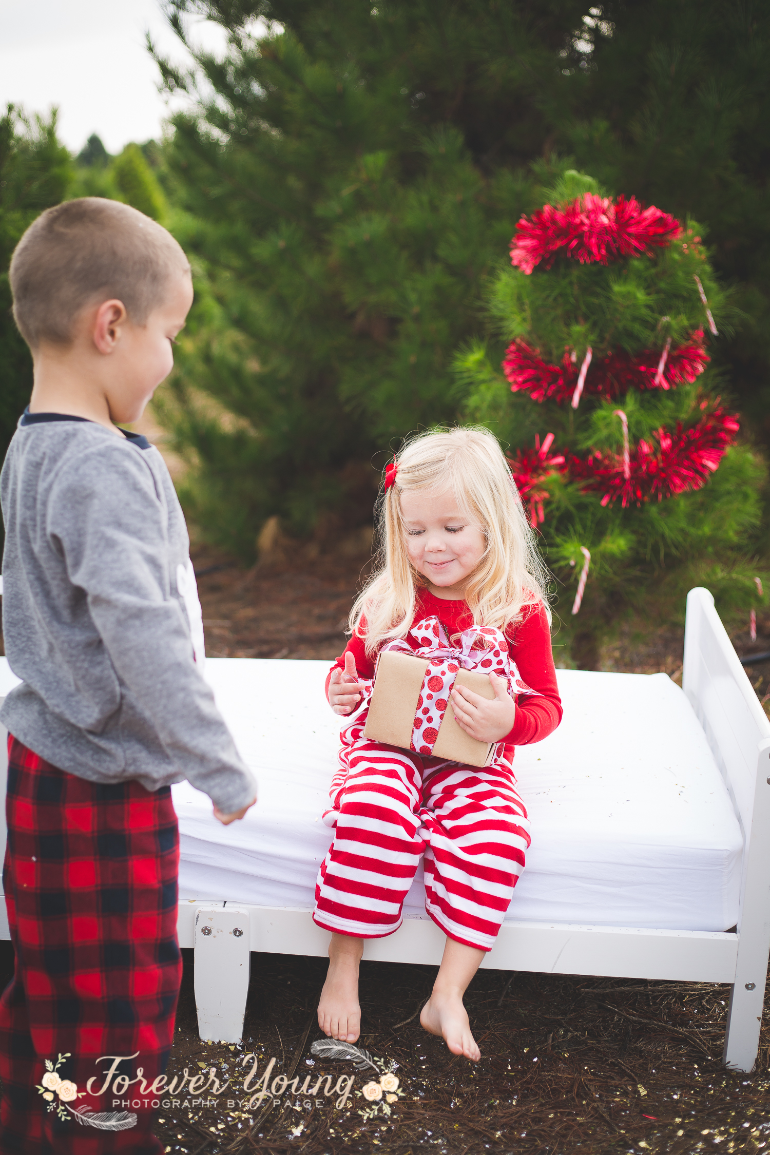 San Diego Christmas Tree Farm Photoshoot | Forever Young Photography By Paige-99