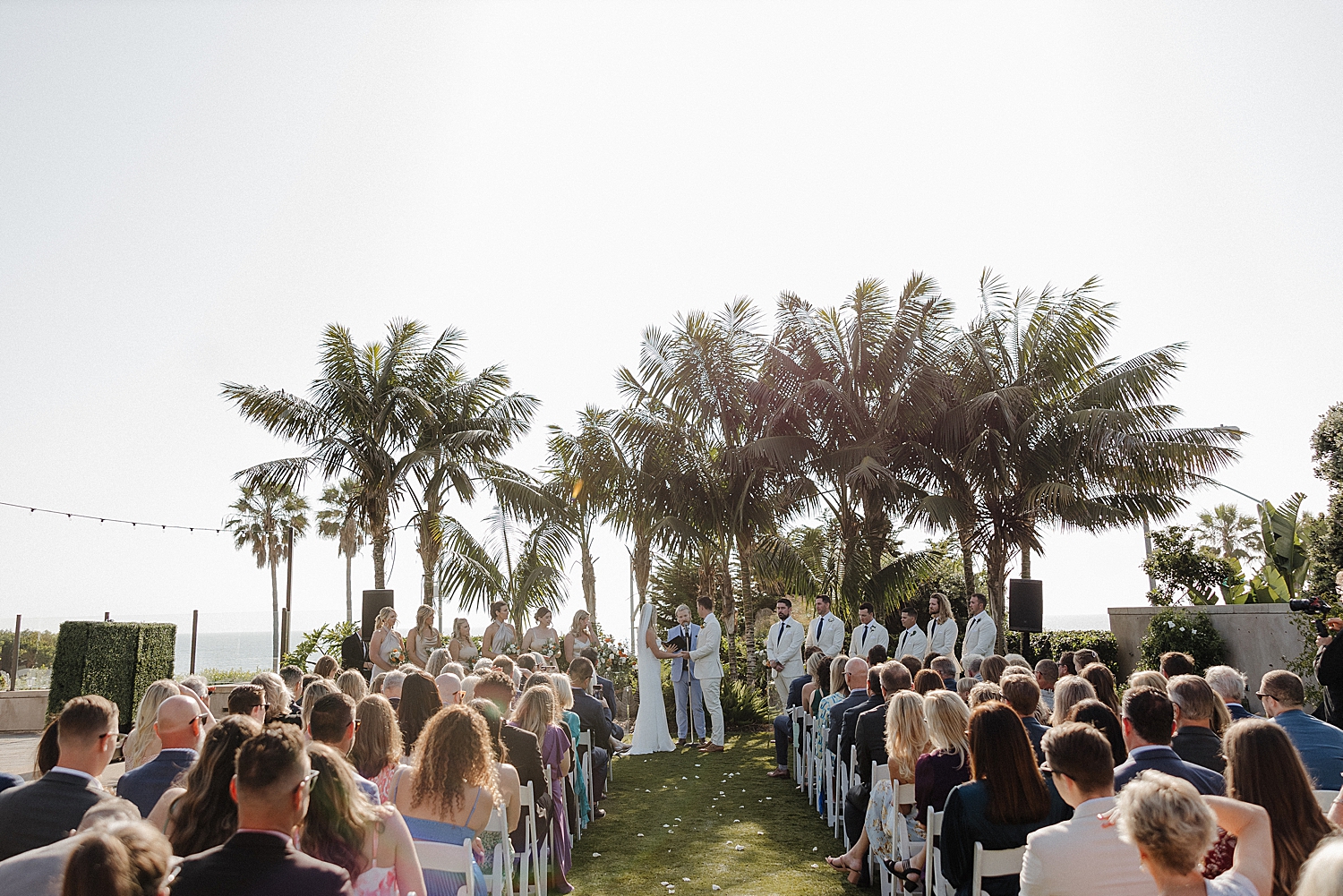 Cape Rey Beach Hotel Wedding