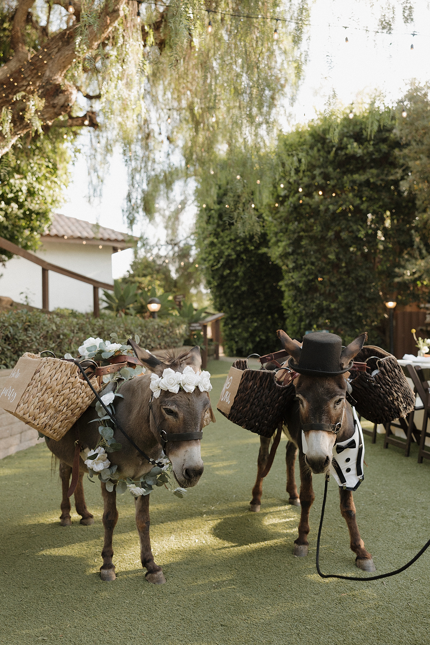 Wedding Beer Burros 