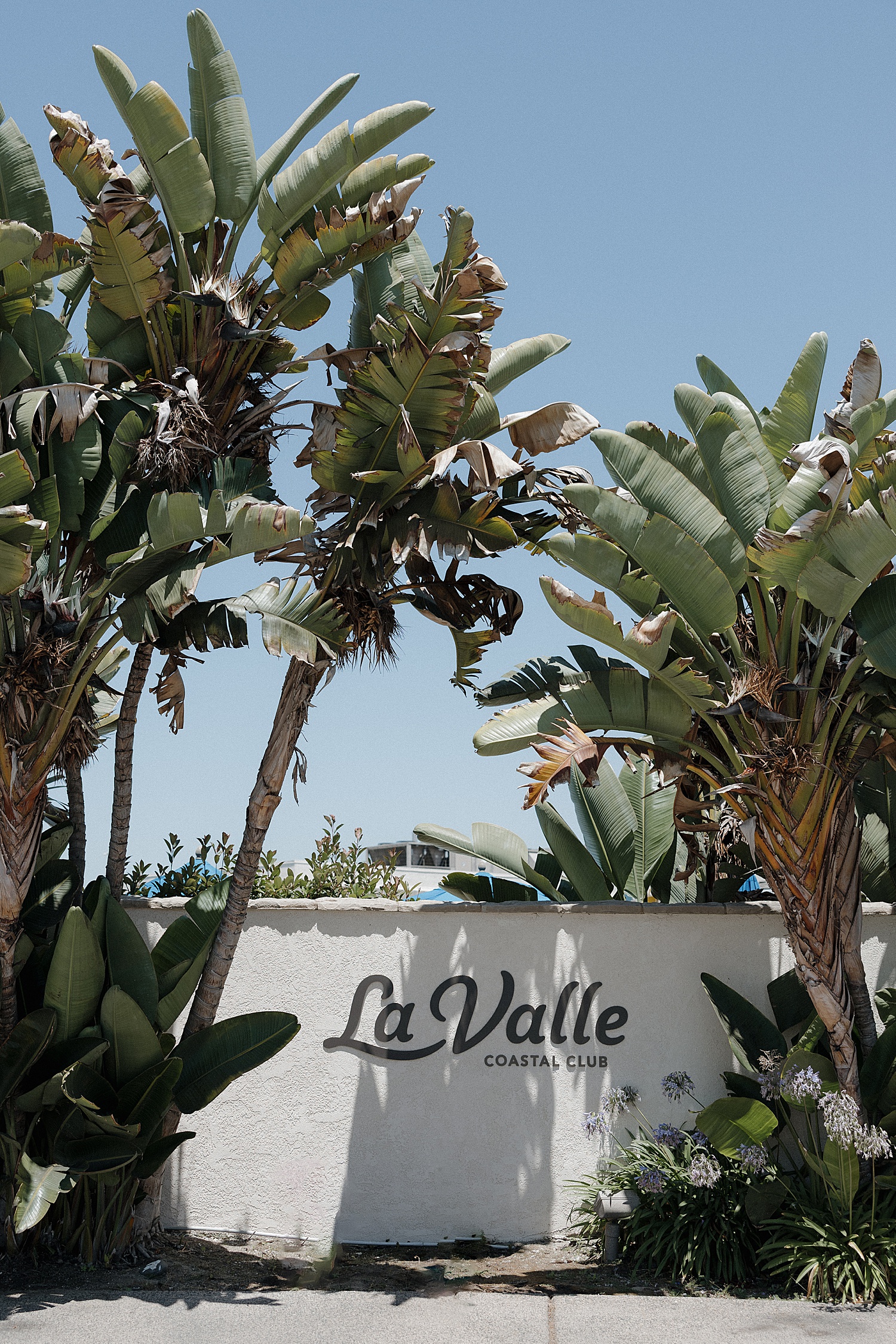 La Valle Coastal Club Wedding